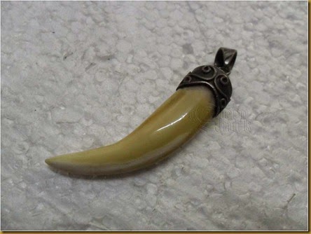 gigi buaya | DUNIA BUAYA DAN ALLIGATOR